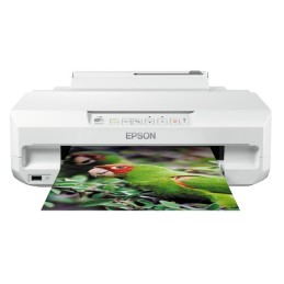 C11CD36402: EPSON STAMP. INK A4 COLORE