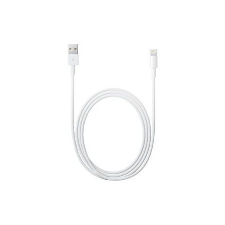 MD819ZM/A: APPLE CAVO LIGHTNING TO USB CABLE (2 M)